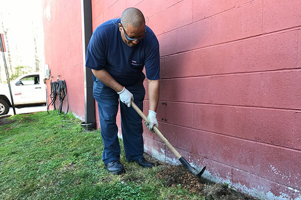 Pest Control Loyal Termite & Pest Control Henrico VA & Richmond VA