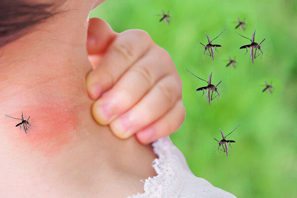 Mosquito Bite Prevention and Treatment at Loyal Termite & Pest Control in Henrico VA & Richmond VA