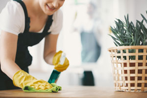 Spring cleaning your Henrico VA home can help prevent springtime pests! Learn more from Loyal Termite & Pest Control.