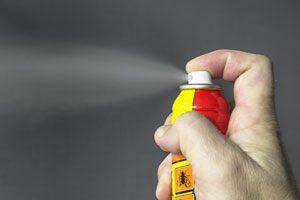 Sprays are a common DIY pest control method. Learn about the pros and cons of DIY pest control in Henrico VA from Loyal Termite & Pest Control