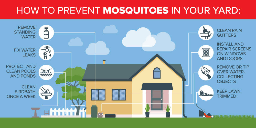 Mosquito prevention around your Henrico VA home - Loyal Termite & Pest Control