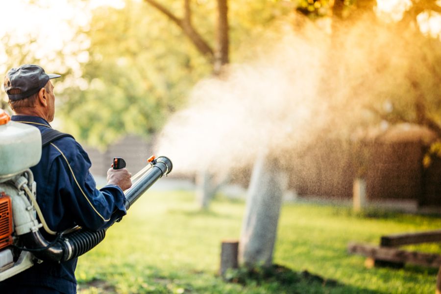 How to get rid of mosquitoes in your yard in Eastern and Central Virginia - Loyal Termite & Pest Control