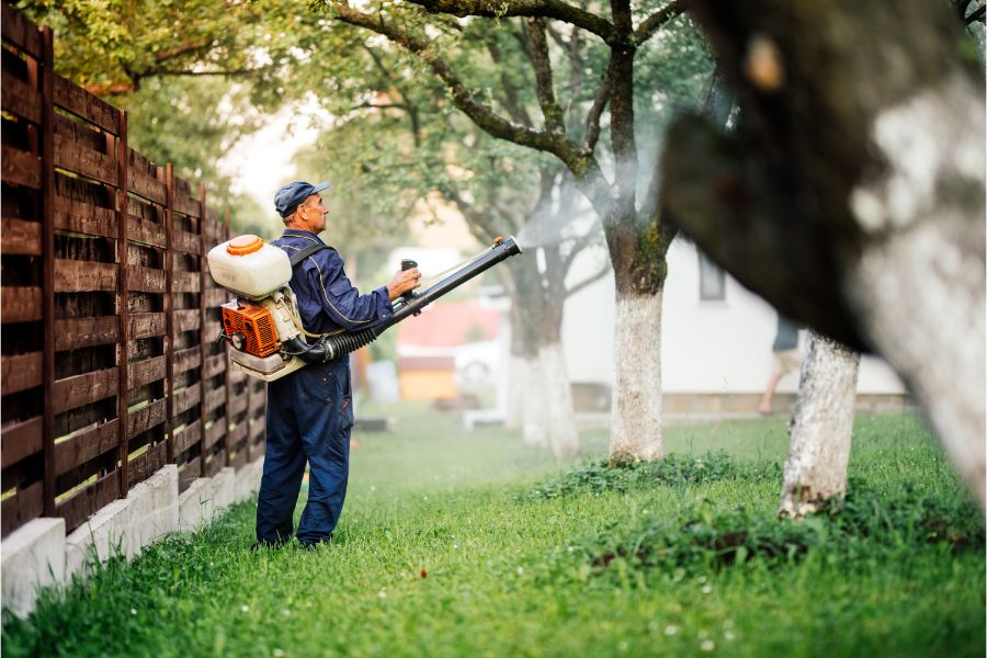 How to prevent mosquitoes in your in Eastern and Central Virginia yard - Loyal Termite & Pest Control