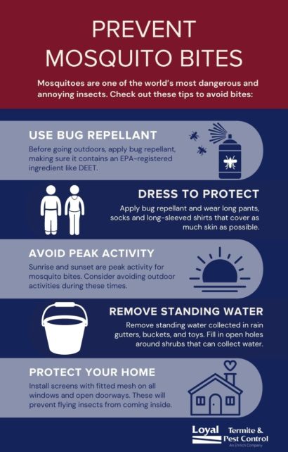 How to prevent mosquito bites in Eastern & Central Virginia - Loyal Termite & Pest Control