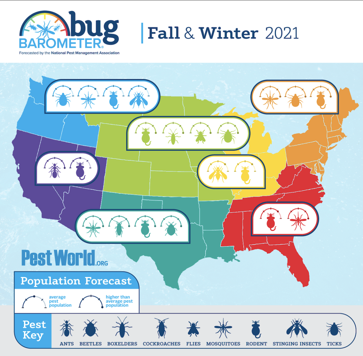 Bug Barometer 2021 - Loyal Termite & Pest Control
